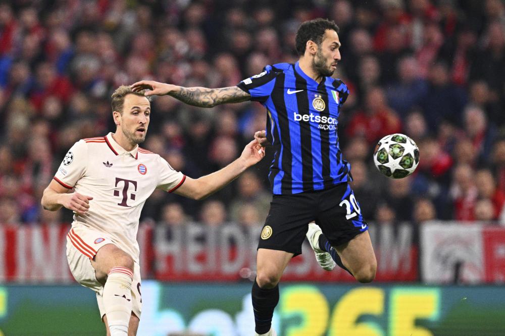 他们在主场 他们在主场